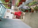 DSCN3935