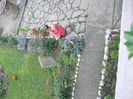 DSCN3940