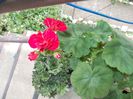 DSCN3947