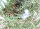 DSCN3954
