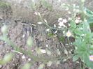 DSCN3959