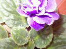 DSCN4168
