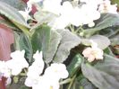 DSCN4171