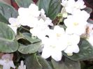 DSCN4172