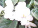 DSCN4174