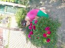 DSCN3399