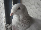 my Picture 008