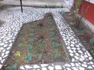 DSCN0169