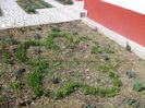 DSCN0174
