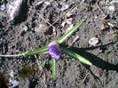Fotogr.0269