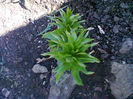 Fotogr.0278