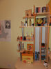 DSCN0910