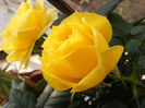 DSCF5918