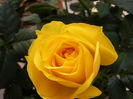 DSCF5920