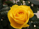DSCF5921