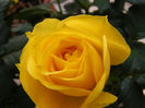 DSCF5926