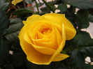 DSCF5923