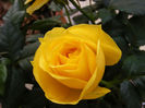 DSCF5925