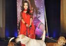 metromasti_photos (1)