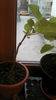 2013-03-25 06.22.23