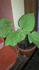 2013-03-25 06.22.40