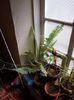 DSCN0038