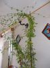 DSCN0040