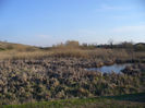 martie2013 086