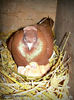 DSCN1486