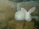 20130320_019