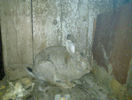 20130320_004