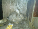 20130320_006