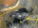20130320_007