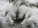 2013, March 26