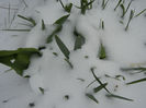 2013, March 26
