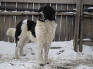 SAM_0878