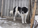 SAM_0879