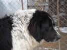 SAM_0886