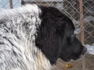 SAM_0887