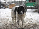 SAM_0888