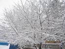 IMG_1424