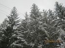 IMG_1429