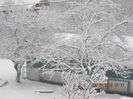 IMG_1439