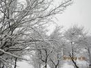 IMG_1441