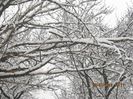 IMG_1448