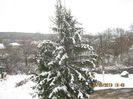 IMG_1461