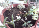DSC00489