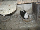 img0227dz1