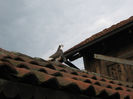 img1149y1