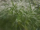 DSCN5904